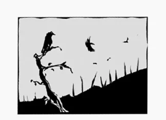 Korparna över Zorndorf